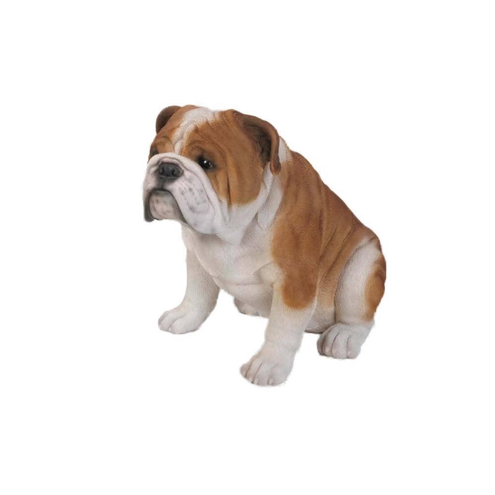 Hi-Line Gift Ltd. Dog Bulldog Statue