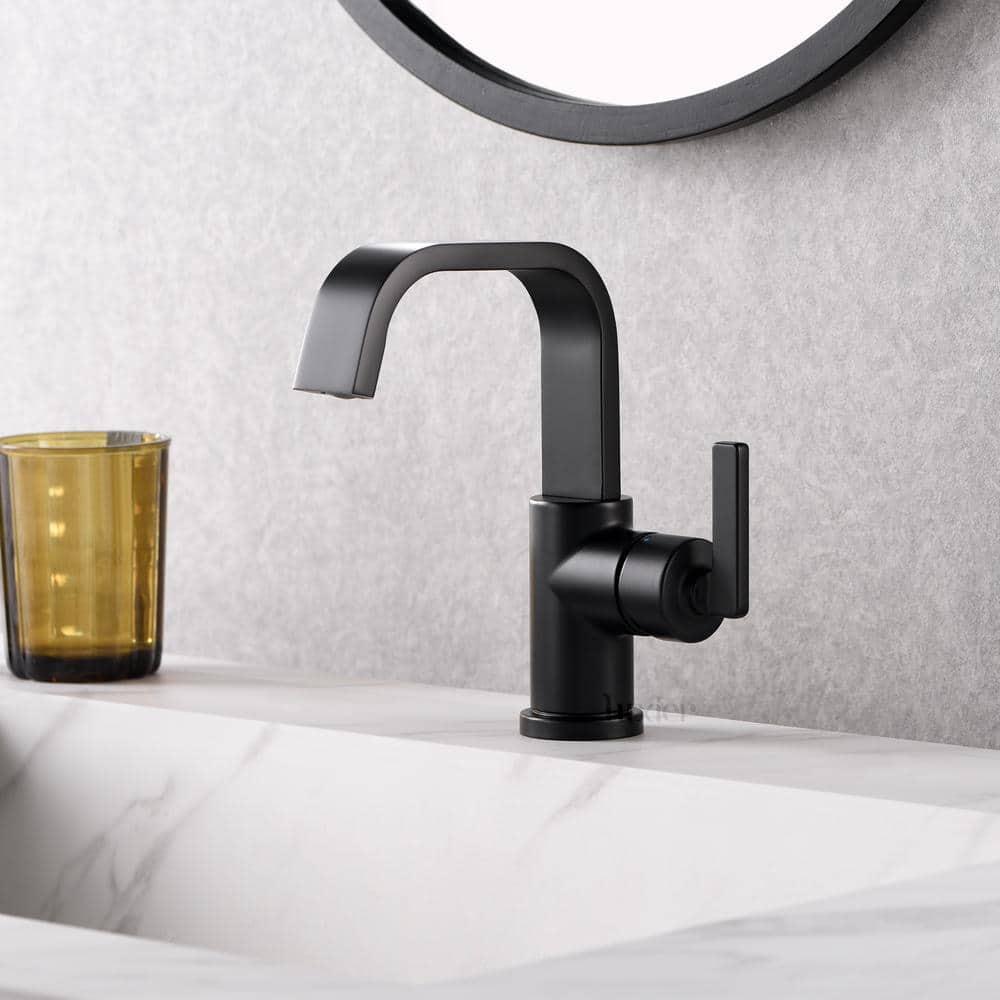 Single Hole Bathroom Faucet with Drain Assembly