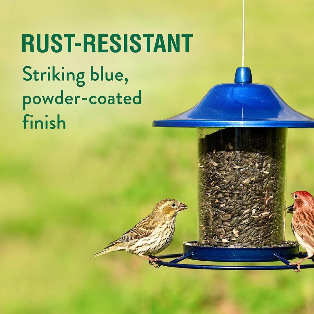 Perky-Pet Wild Bird 2 lb Metal/Plastic Panorama Bird Feeder 1 ports (Case of 2)