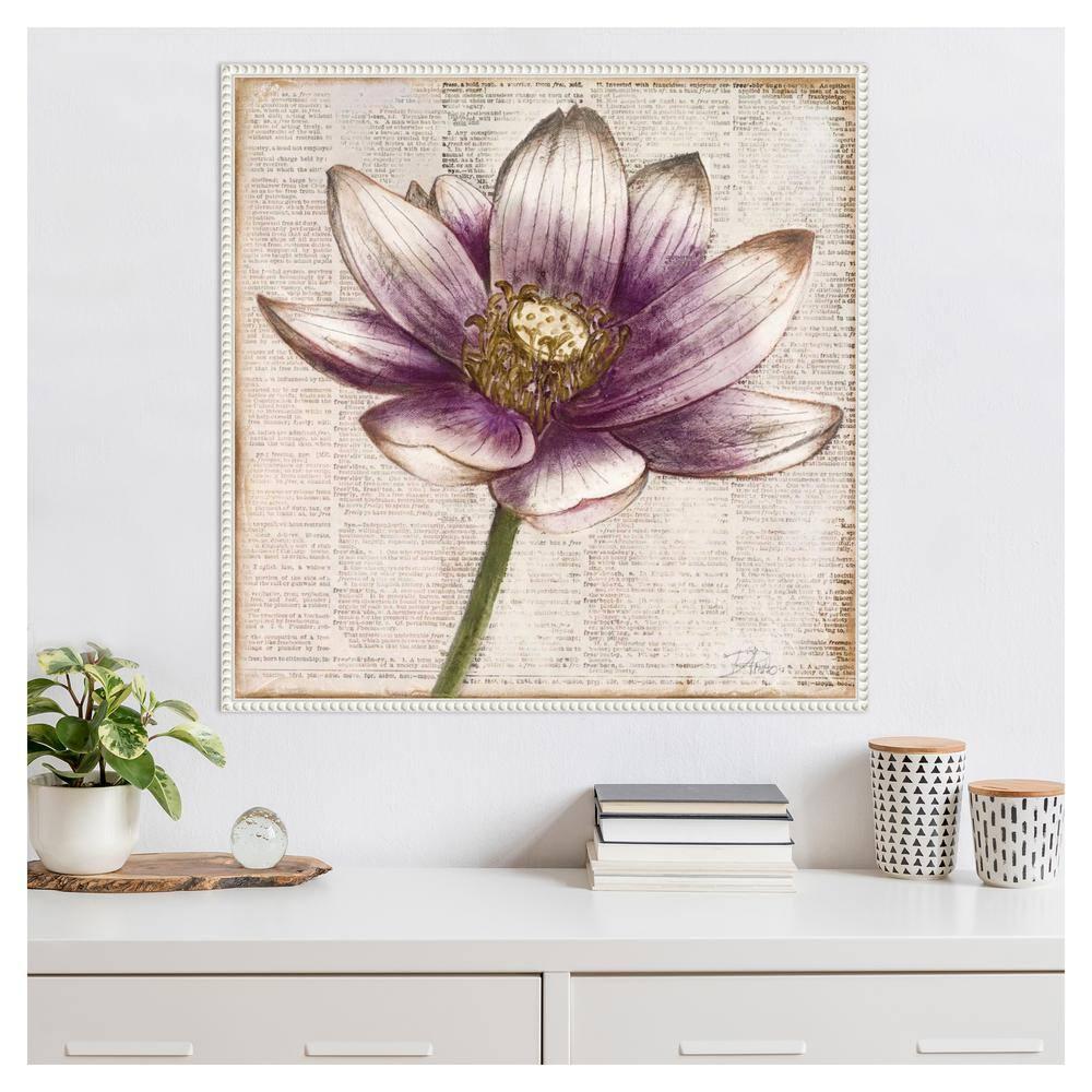 Amanti Art Defined Lotus Flower II by Patricia Pinto Canvas Wall Art Print Framed 30 x 30-in.
