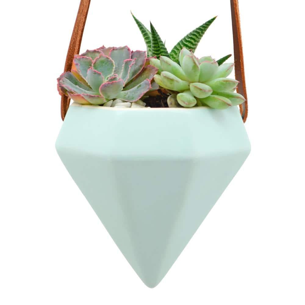 Guilford Ceramic Hanging Planter