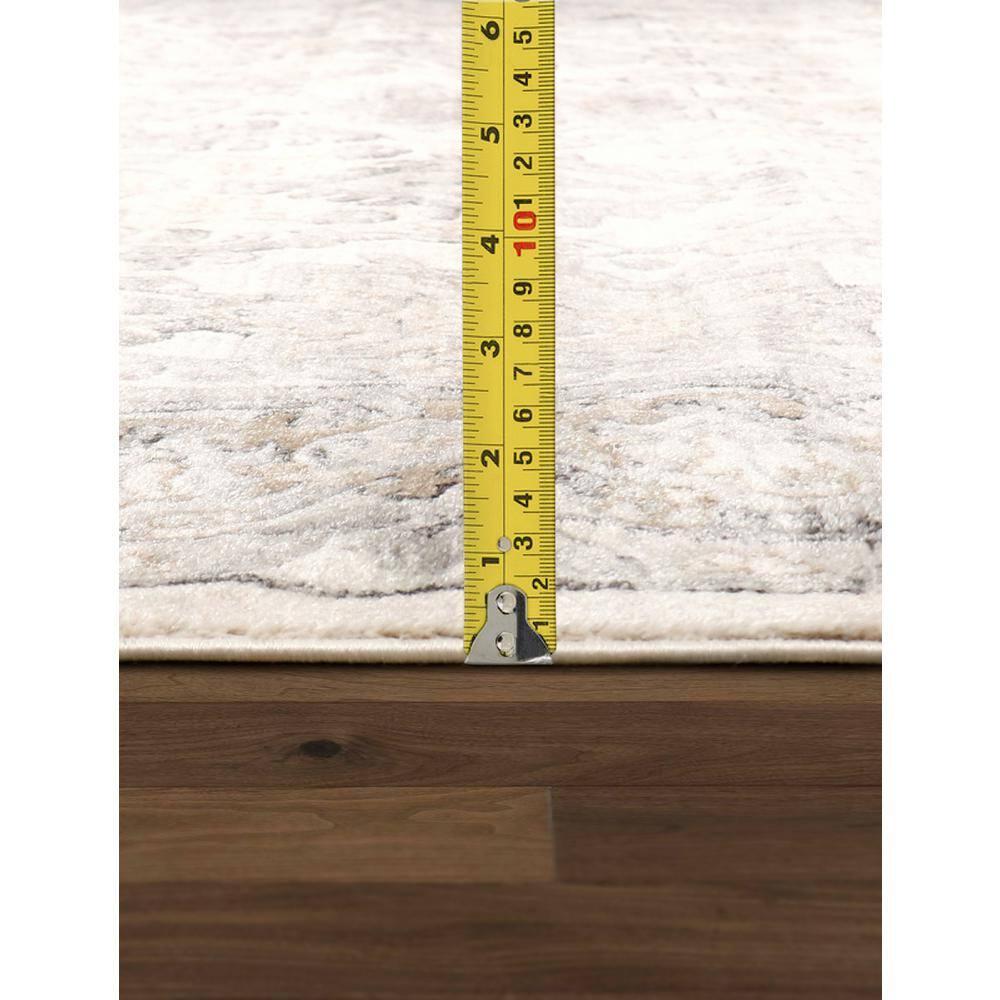 Pasargad Amadeus Power Loom Oriental Area Rug in Ivory/Gray