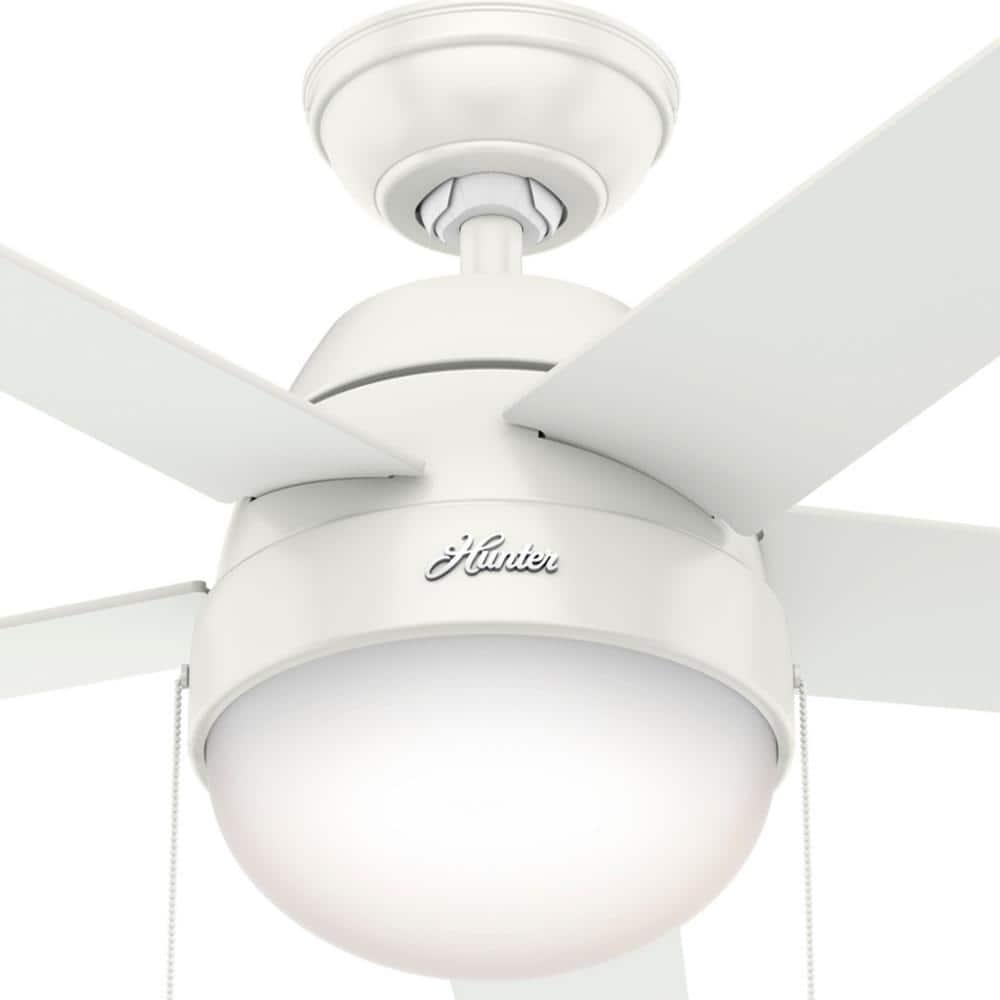 46" Anslee Standard Ceiling Fan with Pull Chain and Light Kit Included