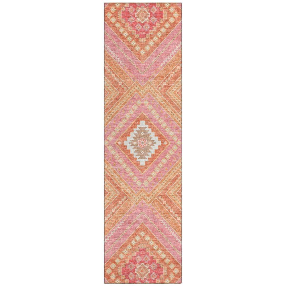 Machine Washable Indoor/Outdoor Chayden ACN1010 Coral Rug