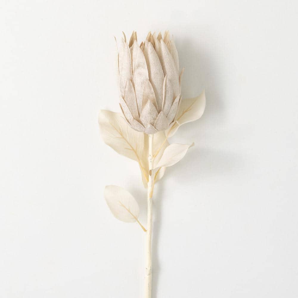 29"H Sullivans Natural Pale Cream Protea, Cream