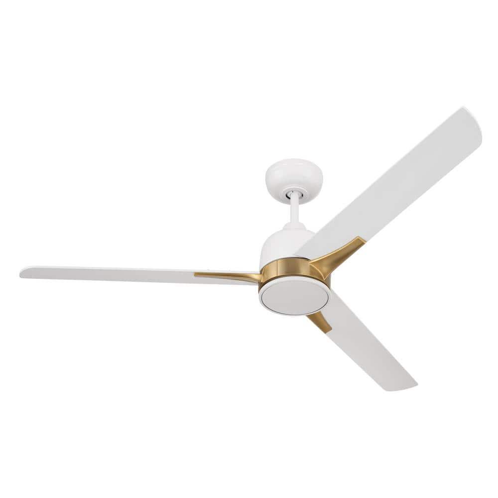 Latitude Run® Eiladh 52" Ceiling Fan with LED Lights & Wall Control