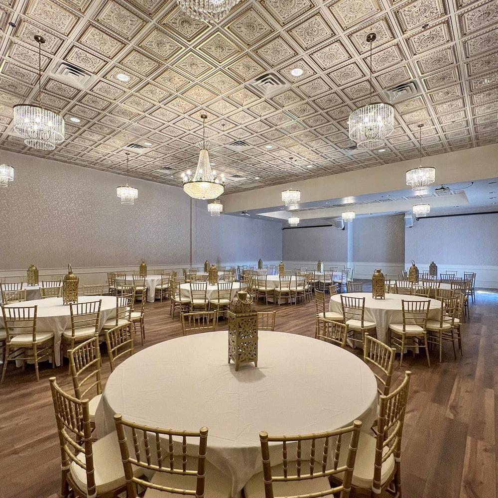 FromPlainToBeautifulInHours La Scala Drop-in or Glue-up PVC Ceiling Tile (Set of 50)