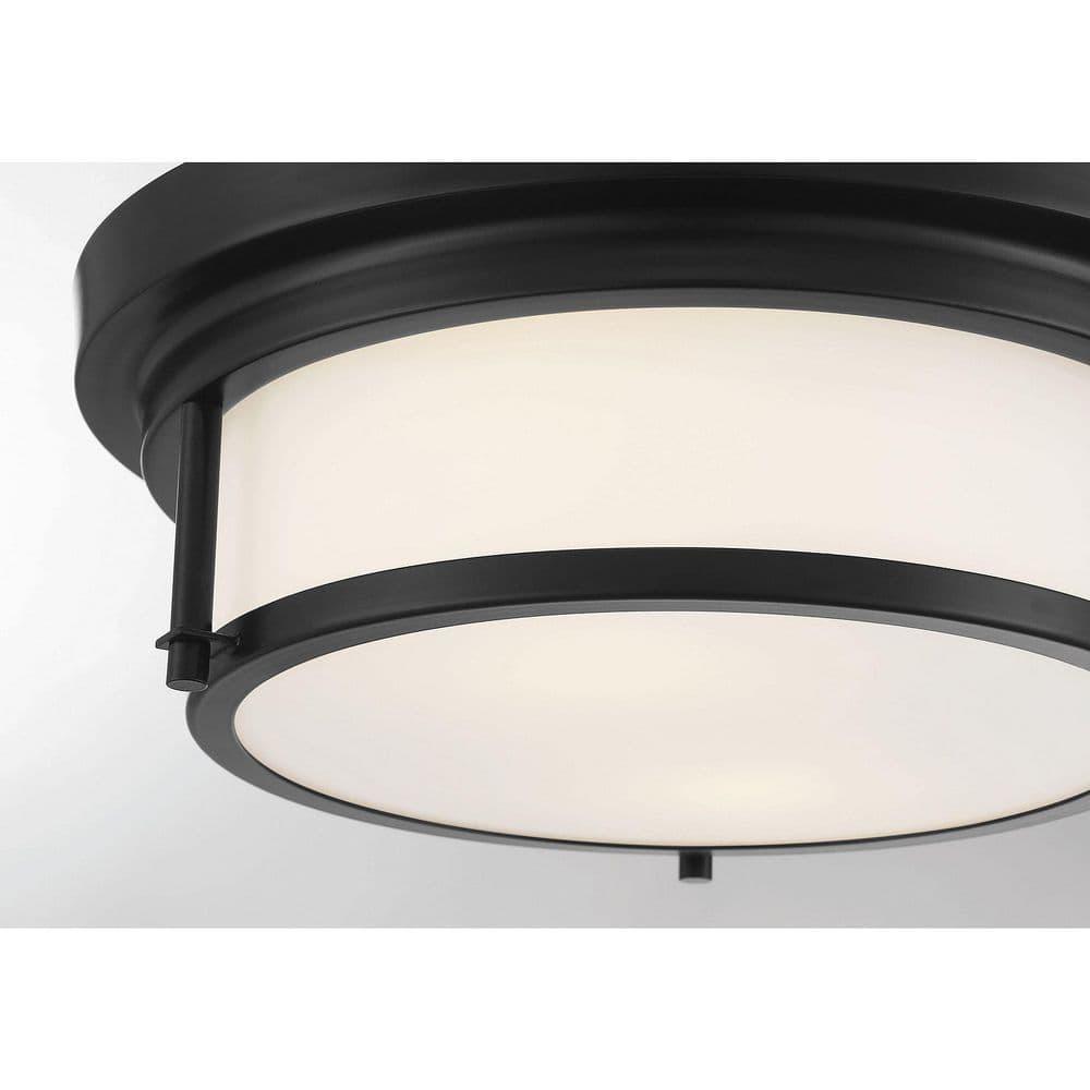 Trade Winds Lighting 2-Light Ceiling Light In Matte Black