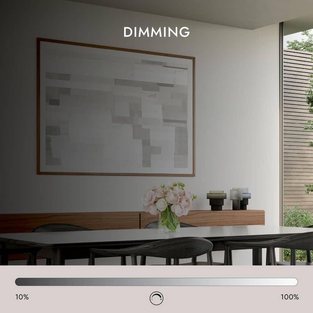 Elixir Single Light Dimmable LED Pendant