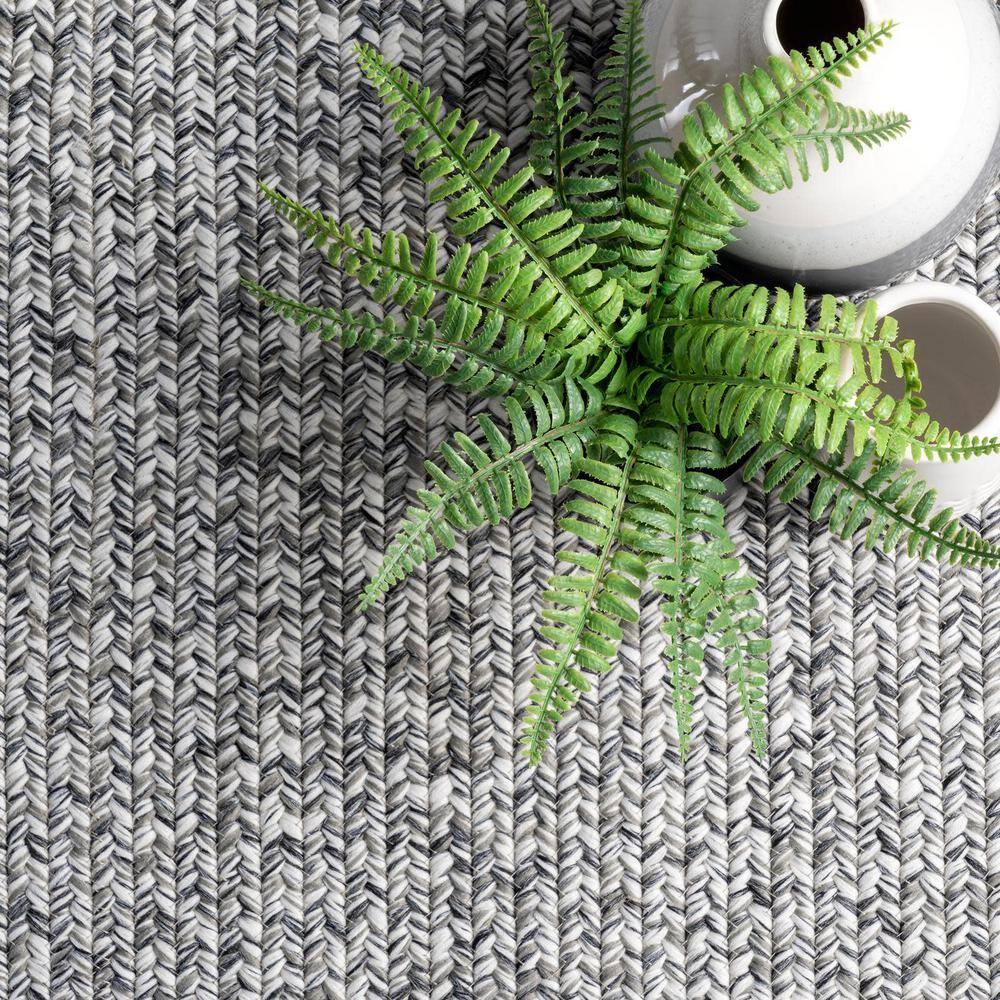 nuLOOM Wynn Braided Indoor/Outdoor Salt And Pepper 3' x 5' Casual Area Rug