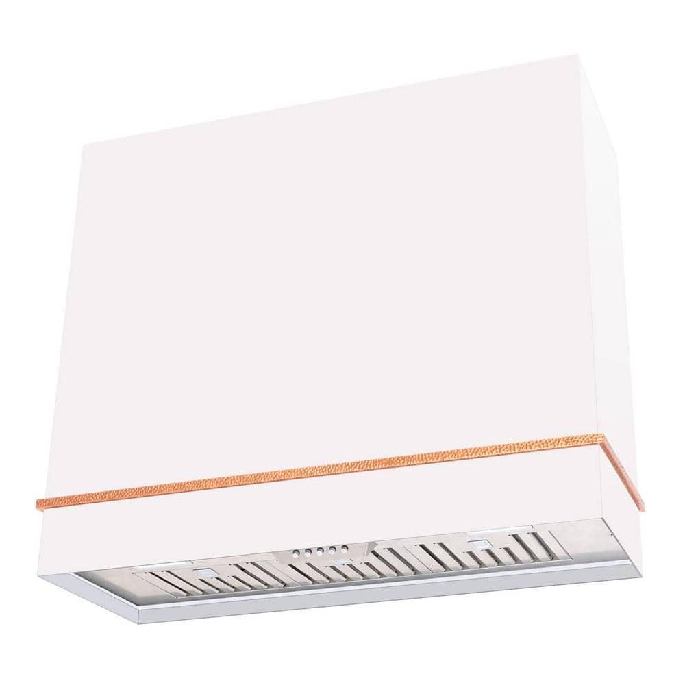 Akicon 36" 600 CFM Ducted (Vented) Wall Range Hood
