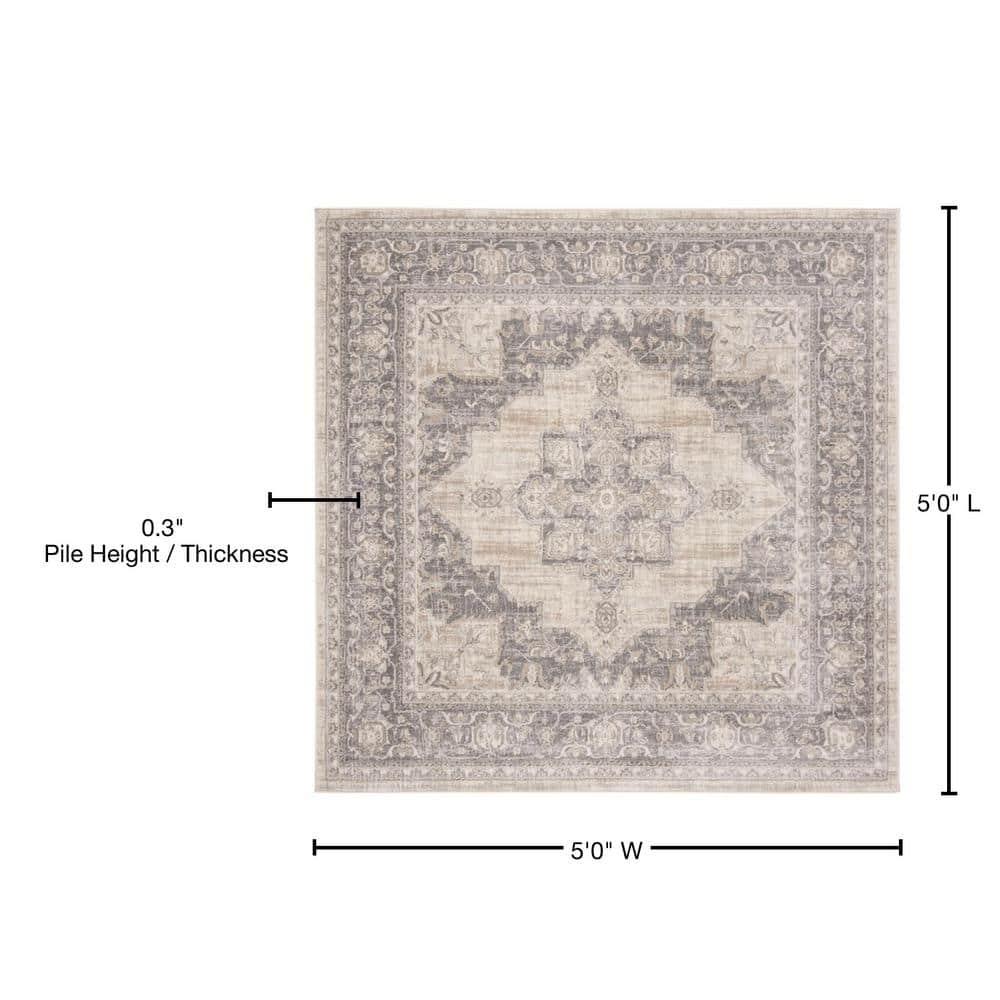 Brentwood BNT865 Power Loomed Indoor Area Rug - Cream/Grey - 5'x5' - Safavieh