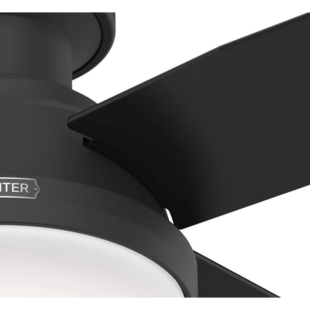 Dempsey Low Profile 44" 4 - Blade Indoor Flush Mount Small Room Ceiling Fan with Lights and Remote