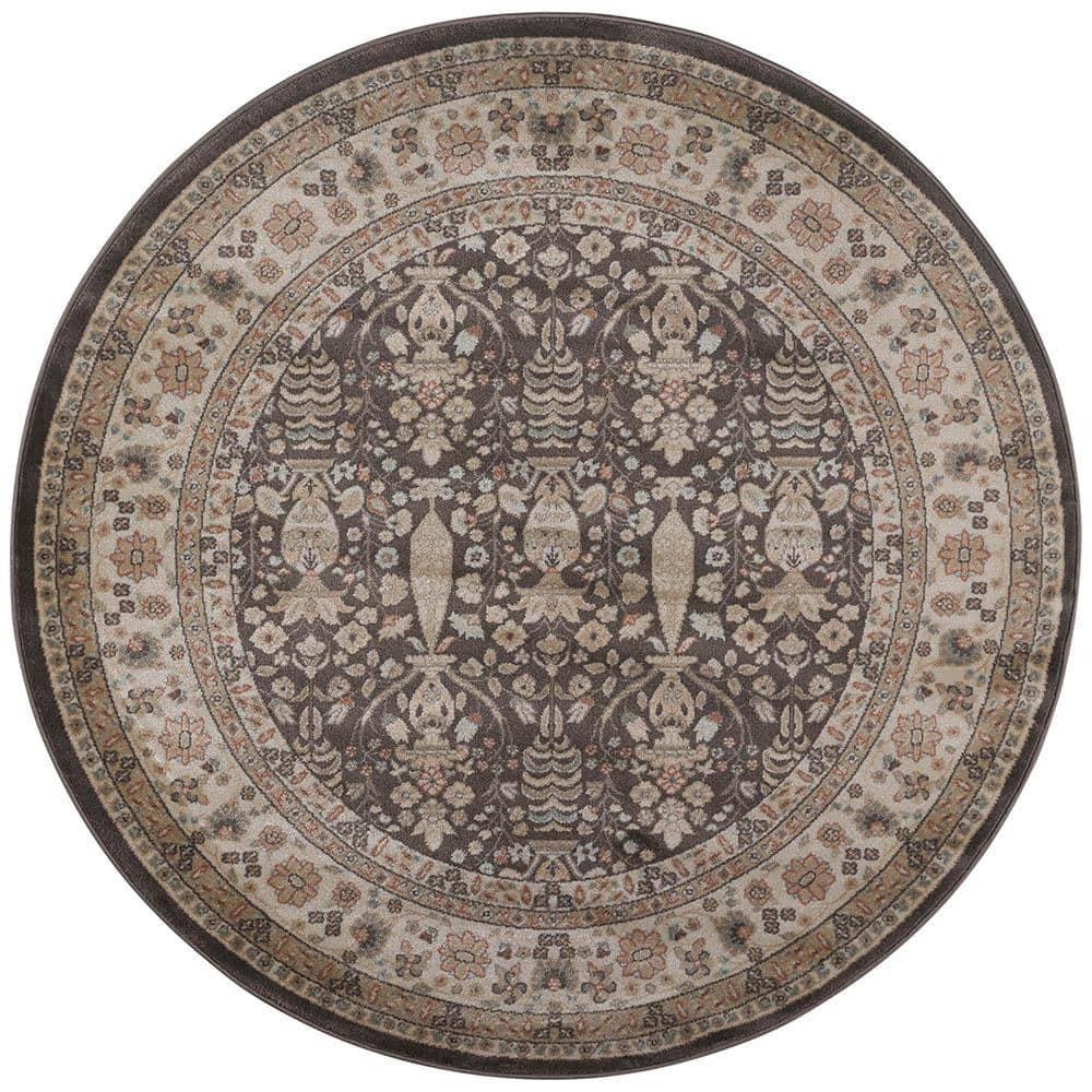 Garda Oriental Indoor Rug