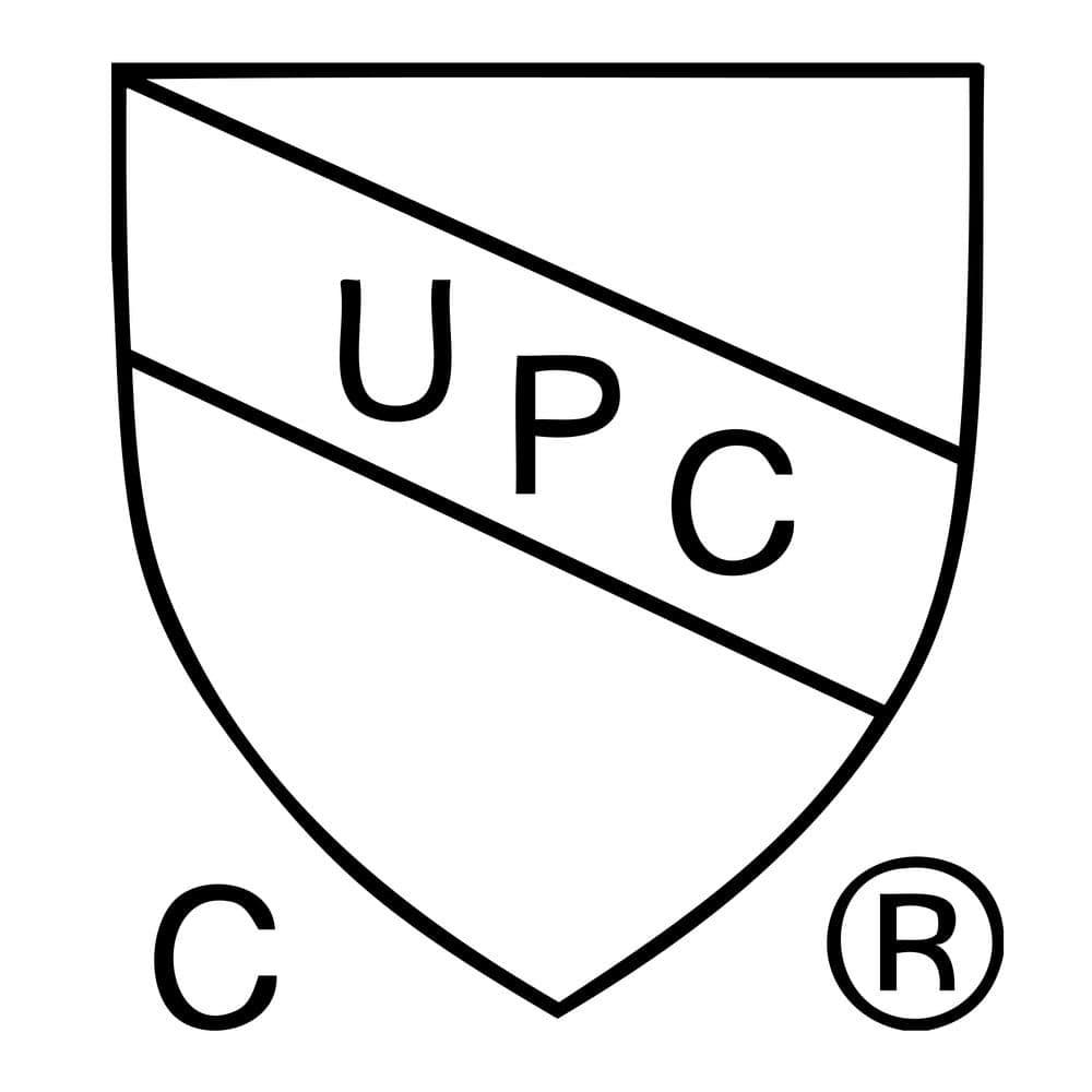 Wall Mounted Tub Spout with Diverter