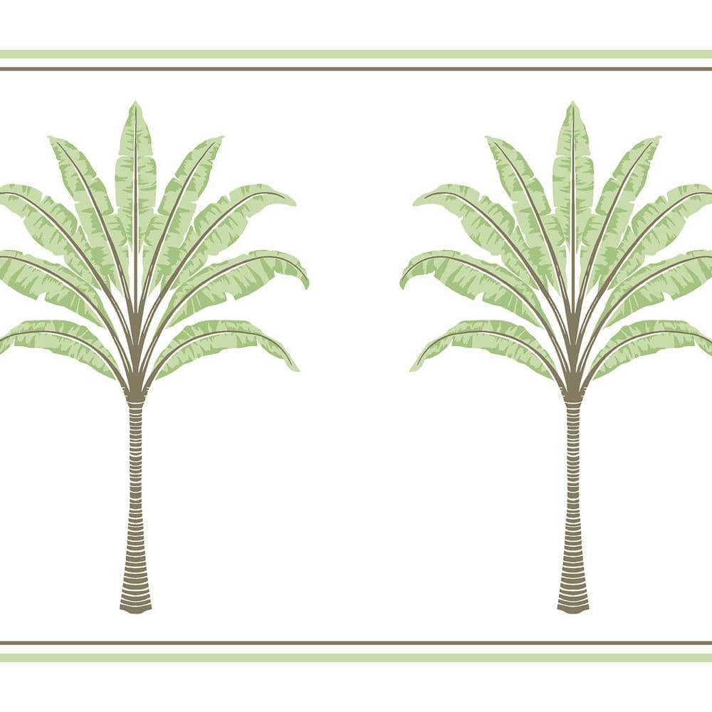 Harry & Grace Green Tea Montgomery Palm Peel and Stick Wallpaper Border