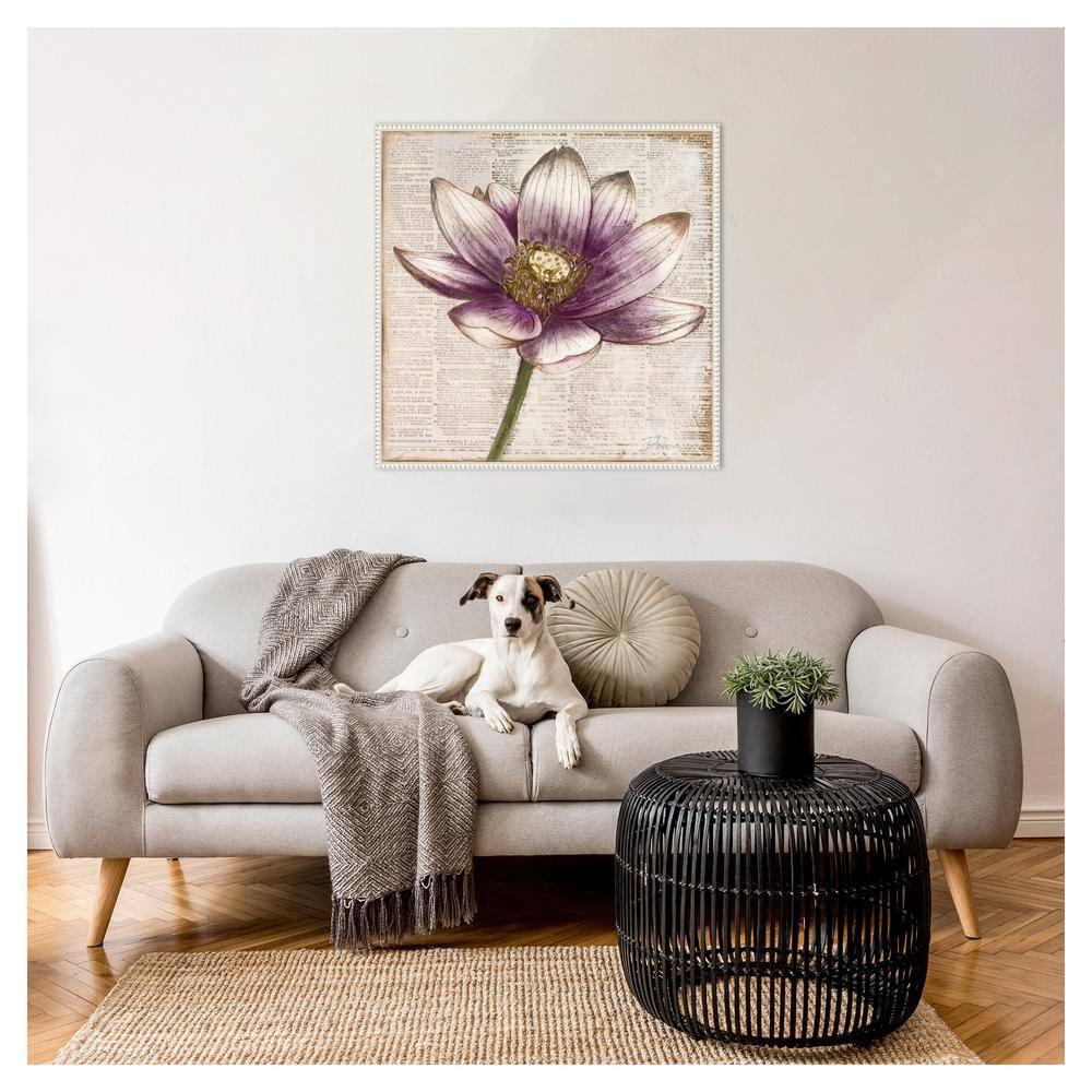 Amanti Art Defined Lotus Flower II by Patricia Pinto Canvas Wall Art Print Framed 30 x 30-in.