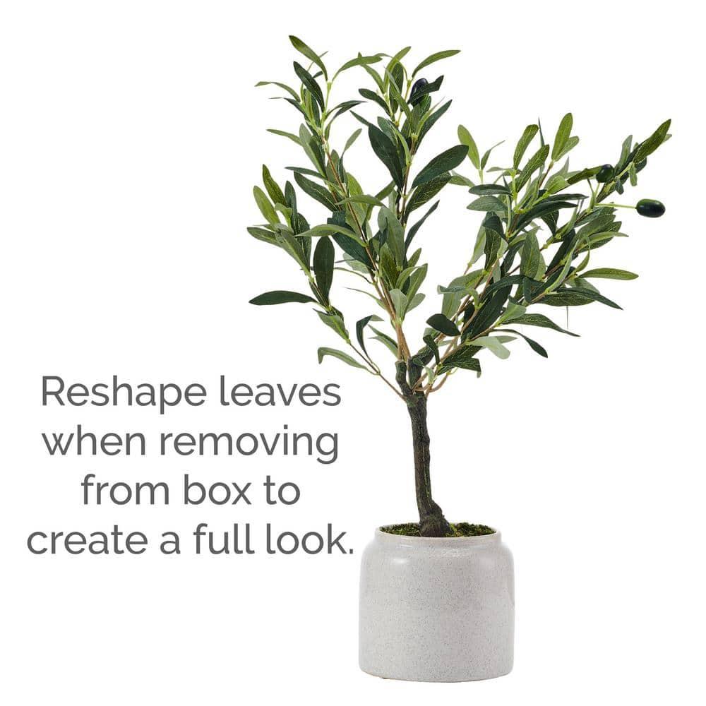 Elements Elements 21.5 in. Artificial Olive Tree Plant in Pot