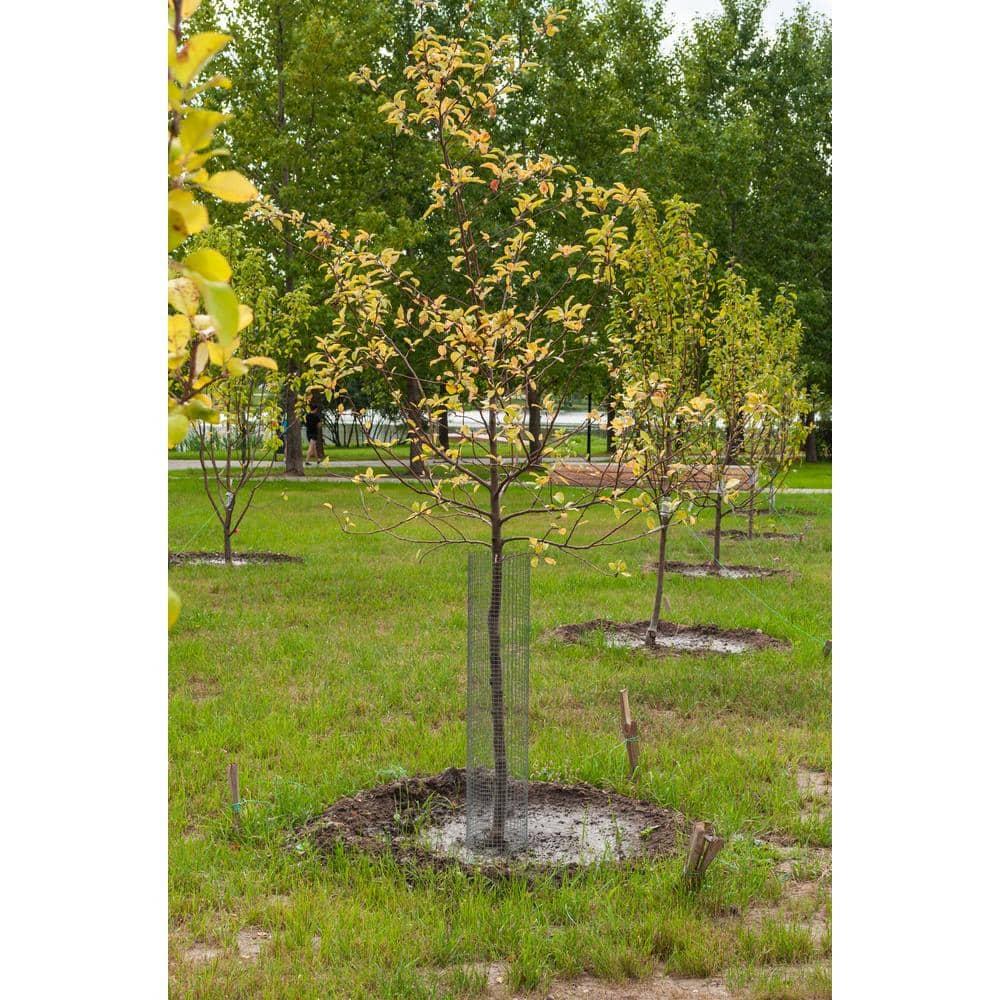 YARDGARD 23 Gauge 1/4 Inch Mesh 4 Foot x 10 Foot Galvanized Hardware Cloth