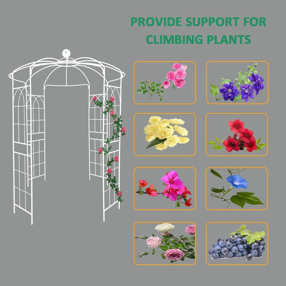 ANYHI Metal Garden Arch Iron Garden Arbors Gazebo Dia 81.3'' x 114.2'' High Birdcage Shape Pergola Pavilion for Wedding Ceremony White