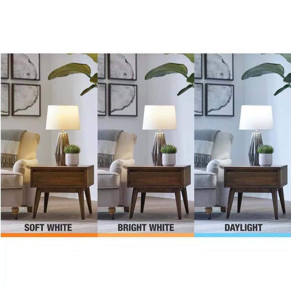 EcoSmart A15 Dimmable Appliance Fan LED Edison Light Bulb Bright White (3-Pack)