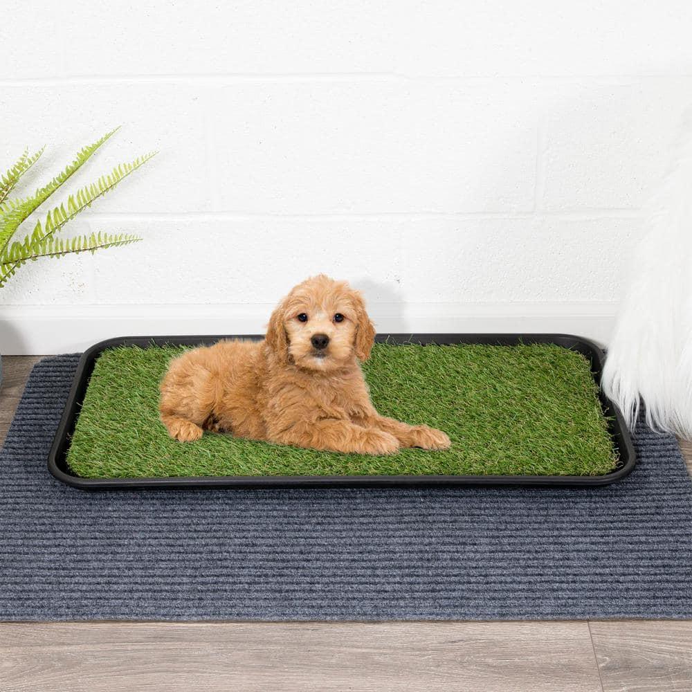 Ottomanson Pet Training Non-Slip Indoor/Outdoor Tray with Reusable Grass Pad