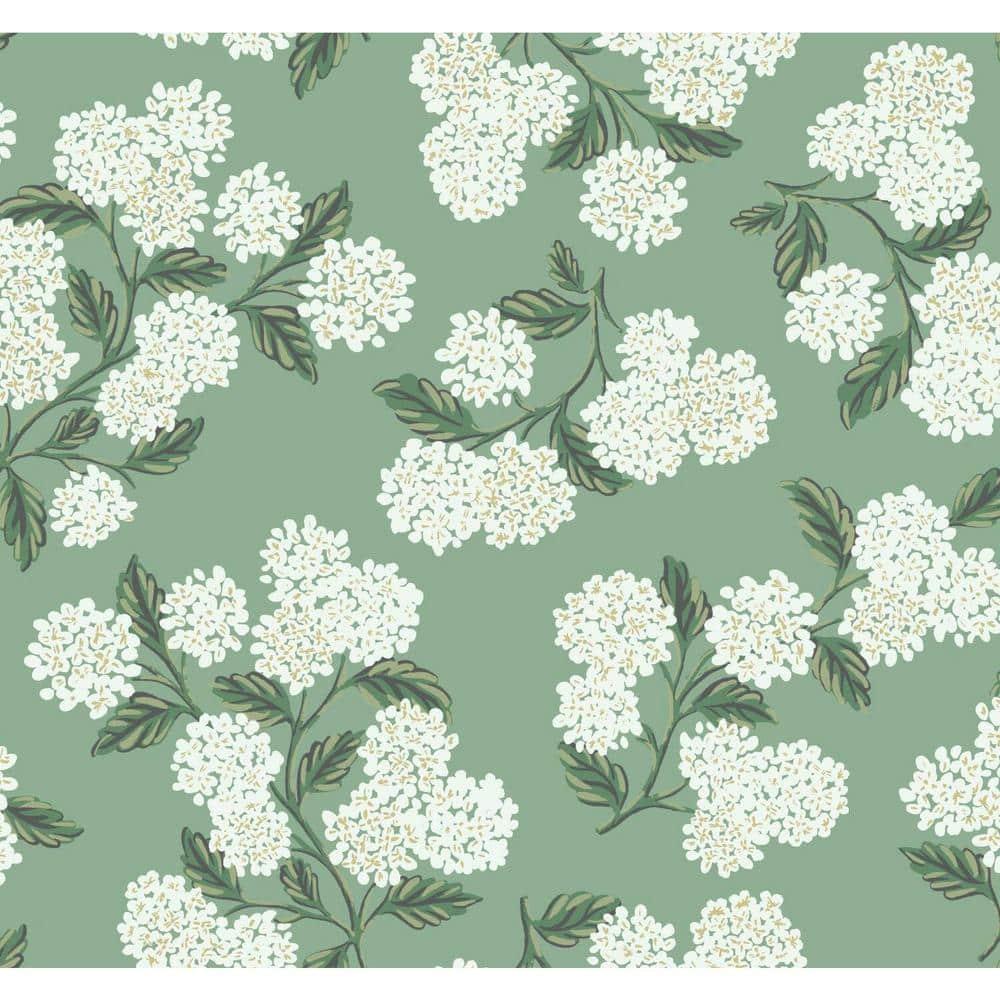Rifle Paper Co. Hydrangea 27' x 27" Wallpaper