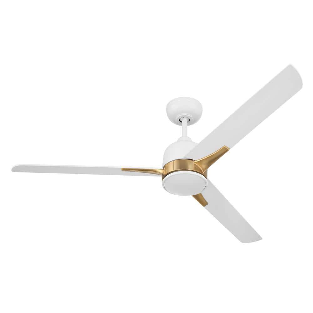 Latitude Run® Eiladh 52" Ceiling Fan with LED Lights & Wall Control
