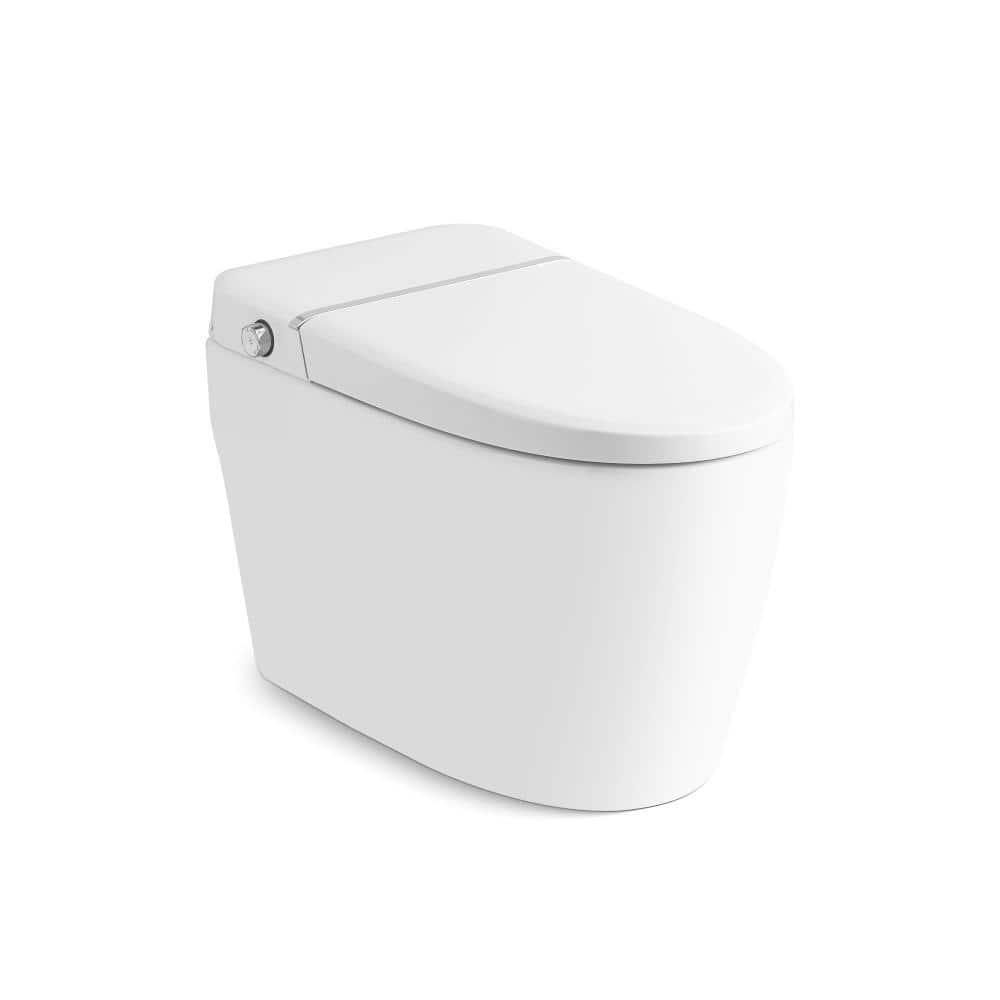 VIBRANTBATH 1.1 Gallons GPF Elongated Bidet Toilet (Seat Included)