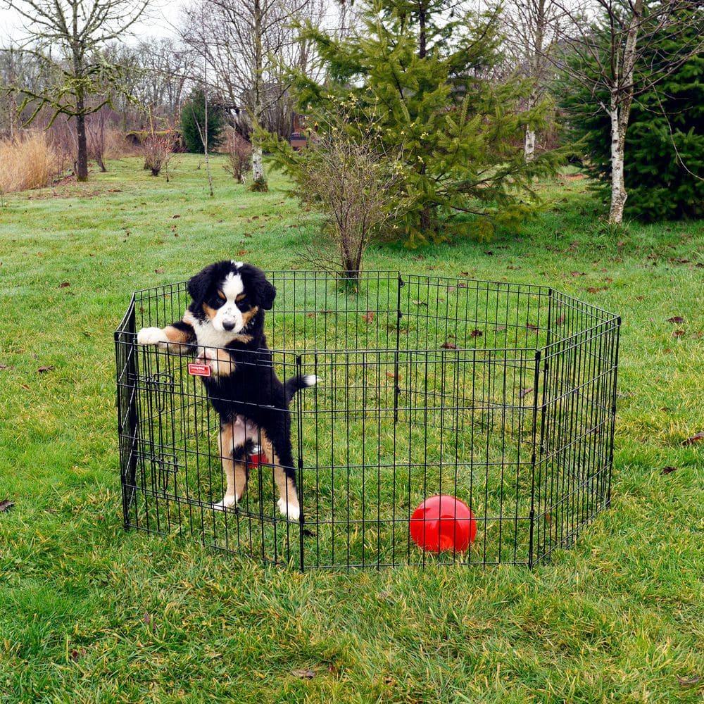 Foldable Metal Exercise Pet Play Pen for Dogs, Chickens, Rabbits and more