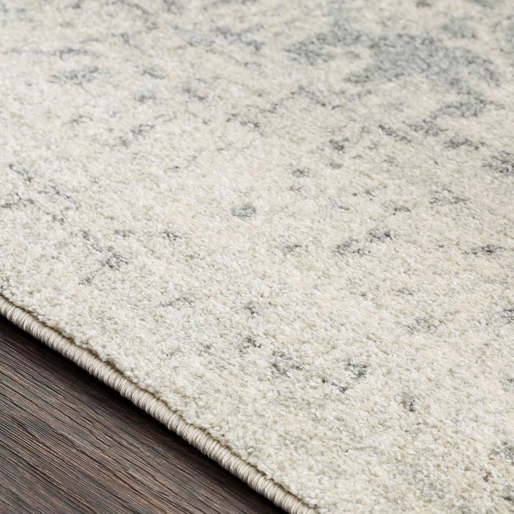 Prisha Rug - Stone / 5'3" x 7'3"