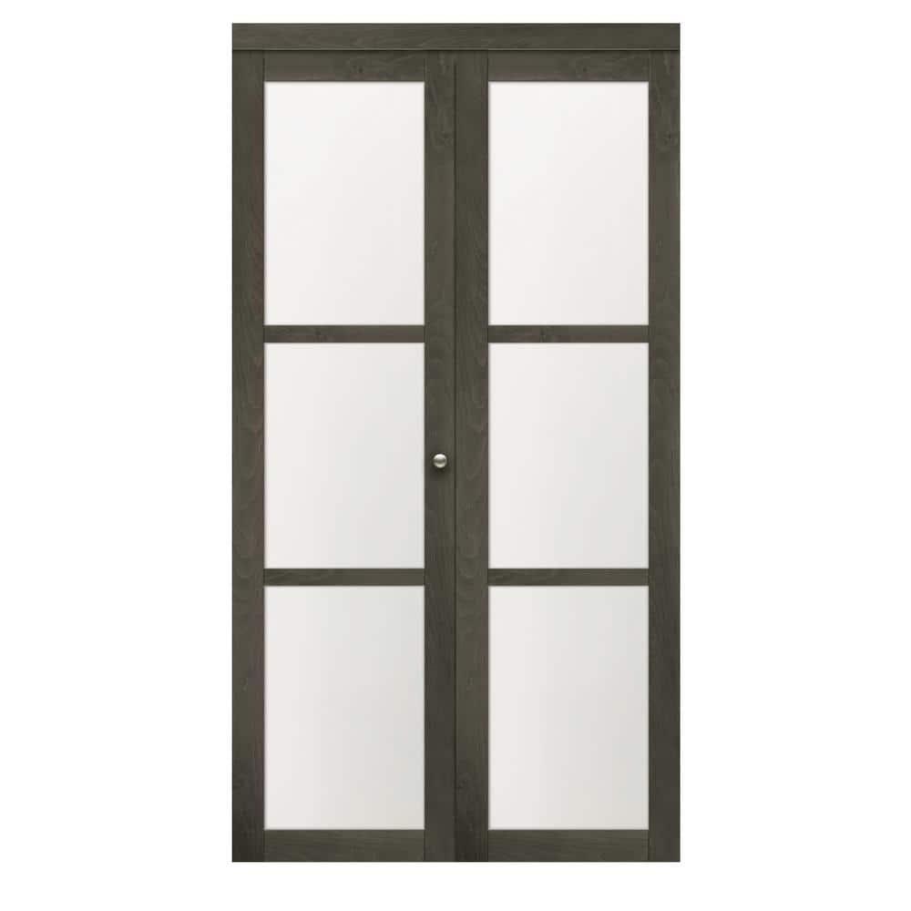 Renin Euro 3-Lite Glass Bi-Fold Door