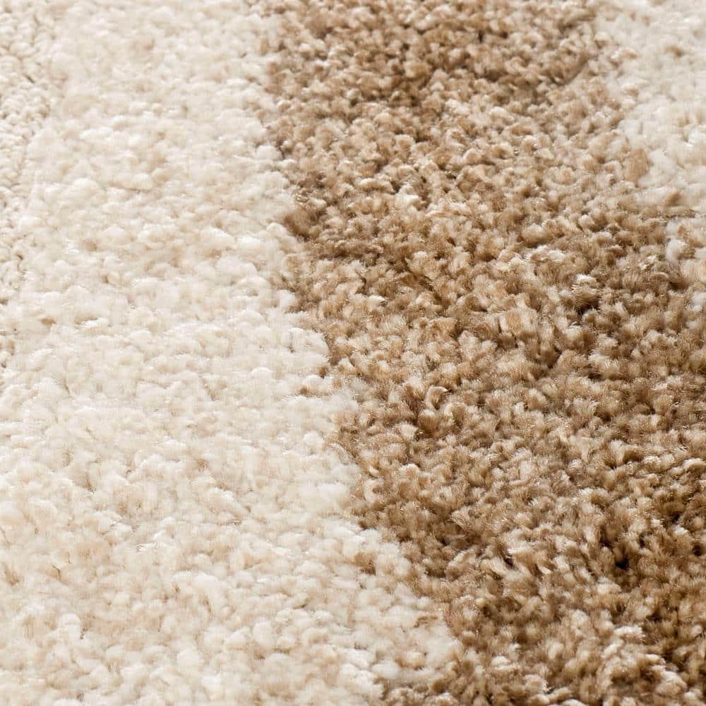 Florida Shag SG451 Power Loomed Indoor Area Rug - Cream/Dark Brown - 4'x6' - Safavieh.