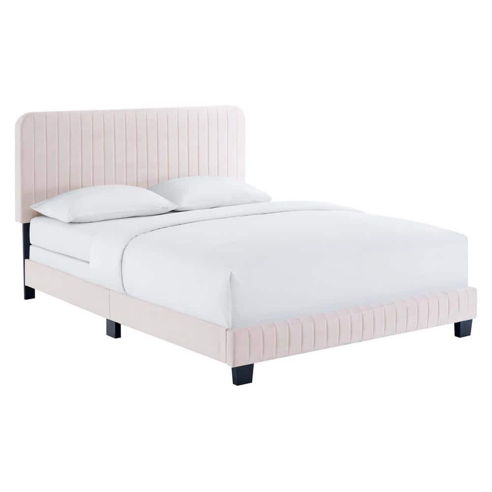 Modway Celine Channel Tufted Performance Velvet King Bed in Pink