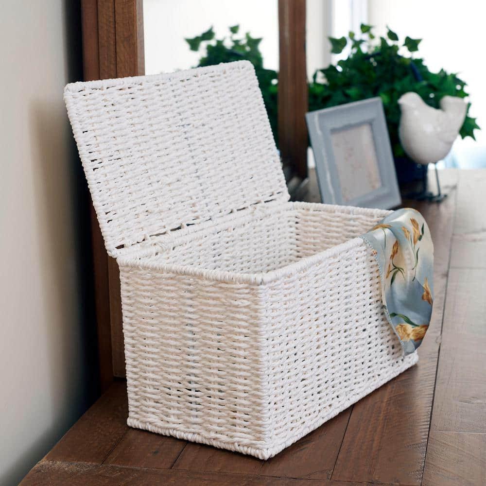 Household Essentials Paper Rope Wicker Box & Reviews | Wayfair
