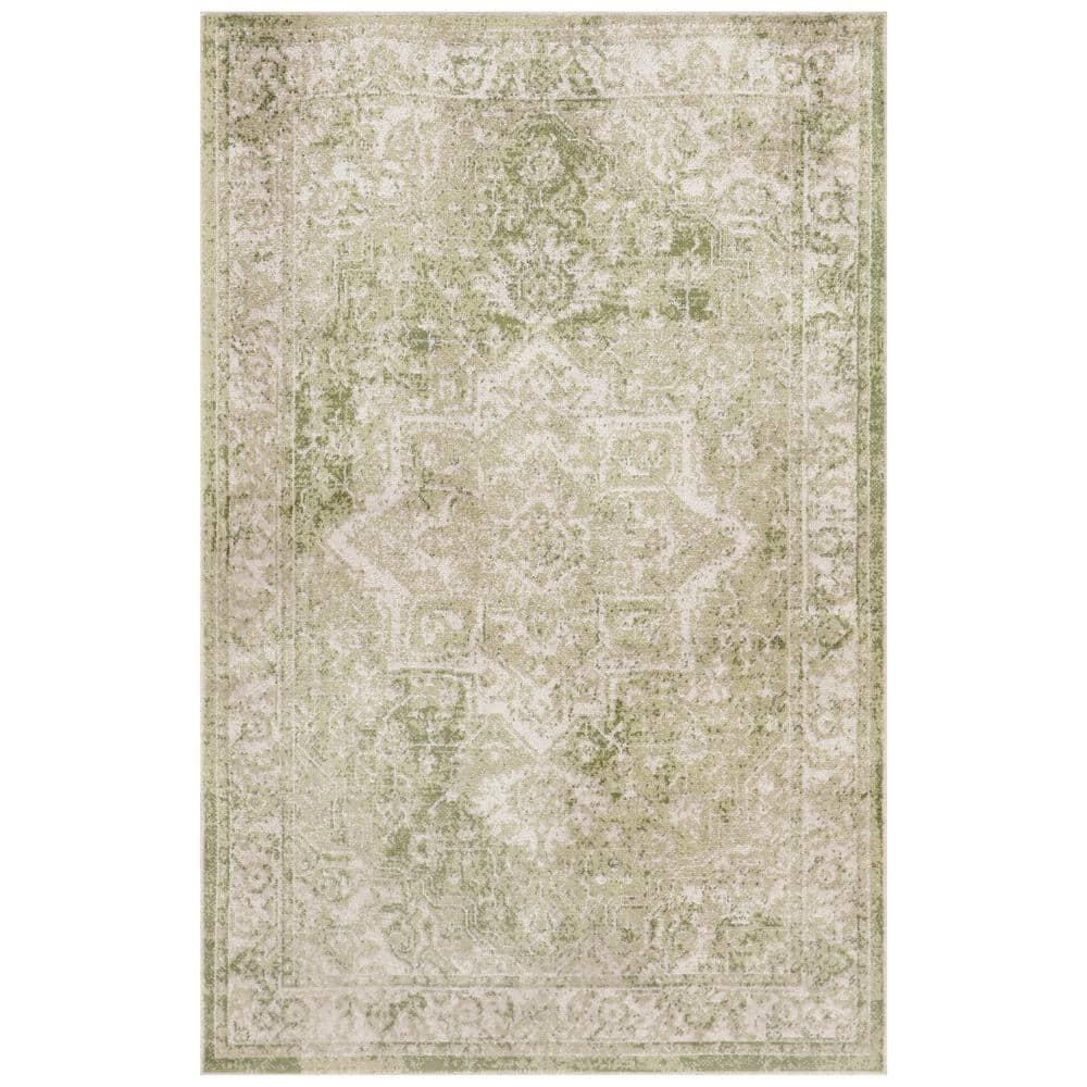 Haydel Machine Washable Area Rug in Ivory