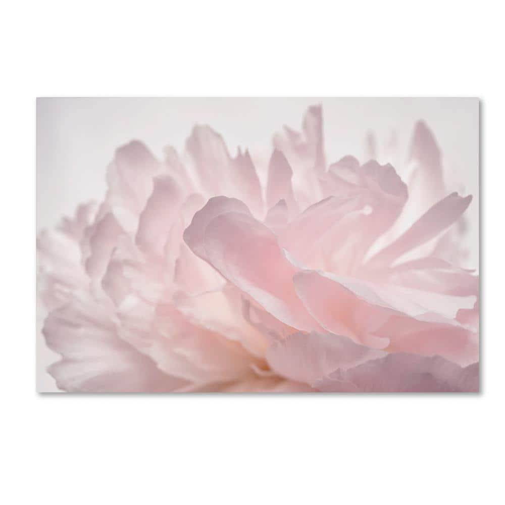 Trademark Fine Art -Cora Niele 'Pink Peony Petals V' Canvas Art - 22''x32''