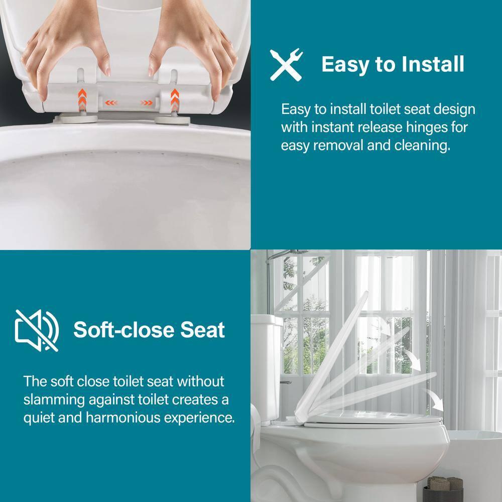 19 in. 2-Piece Toilet 1.1/1.6 GPF Dual Flush Round White Toilet ADA Height with Soft-Close Seat