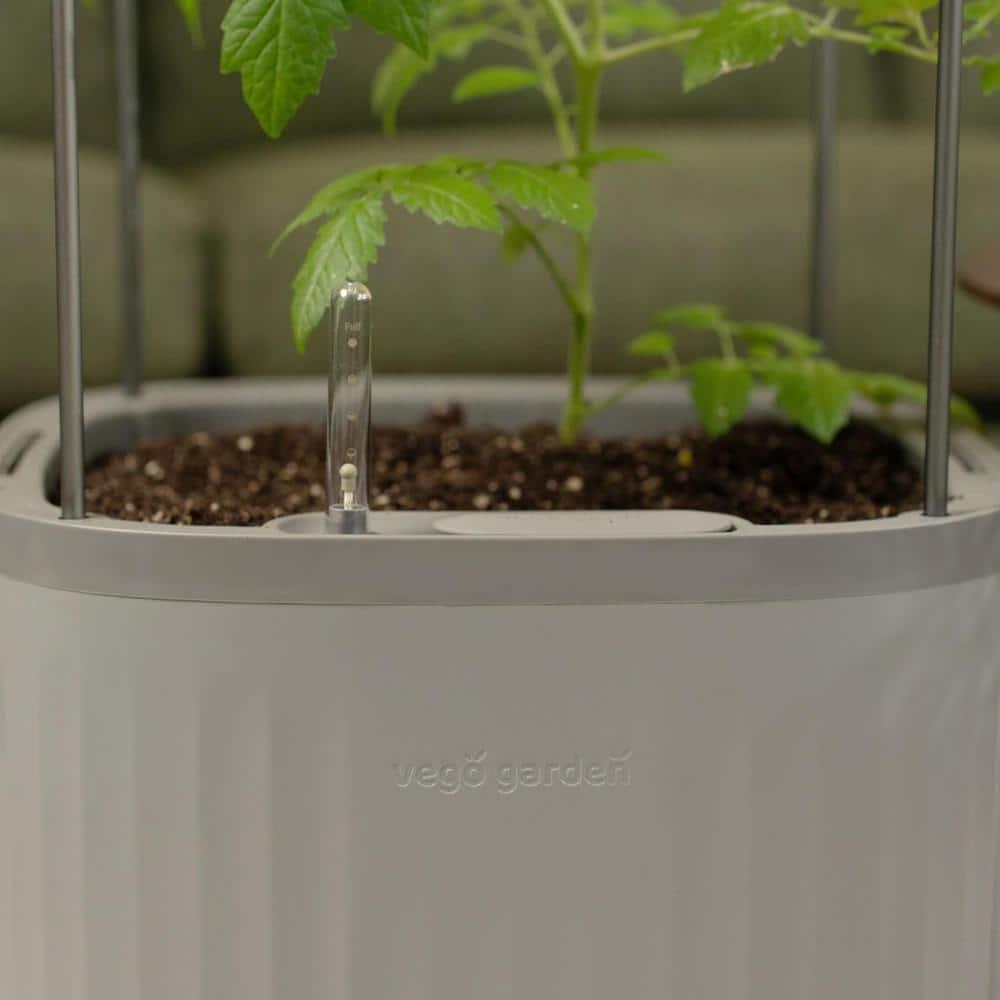 Vego Garden Mini Tomato Plastic Outdoor Pot Planter with Trellis