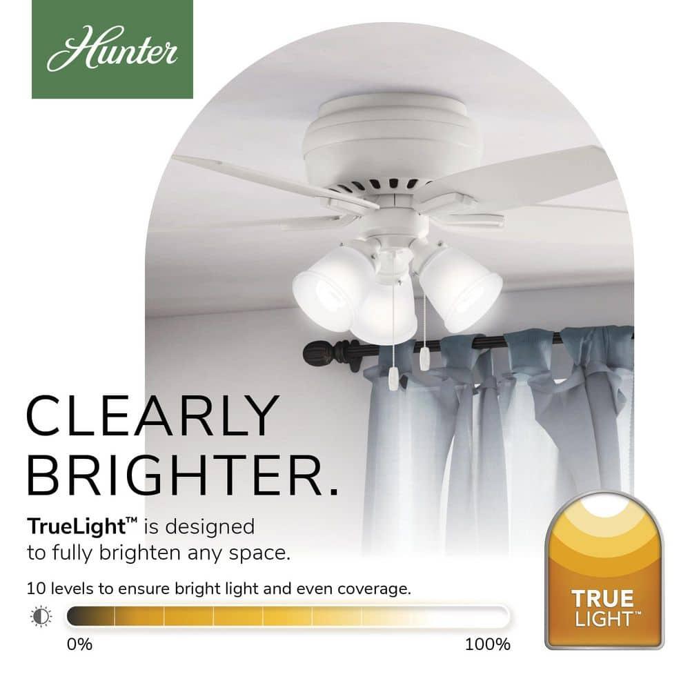 Hunter Fan Newsome 42" 5 - Blade Traditional Indoor Flush Mount Ceiling Fan with Lights and Pull Chains