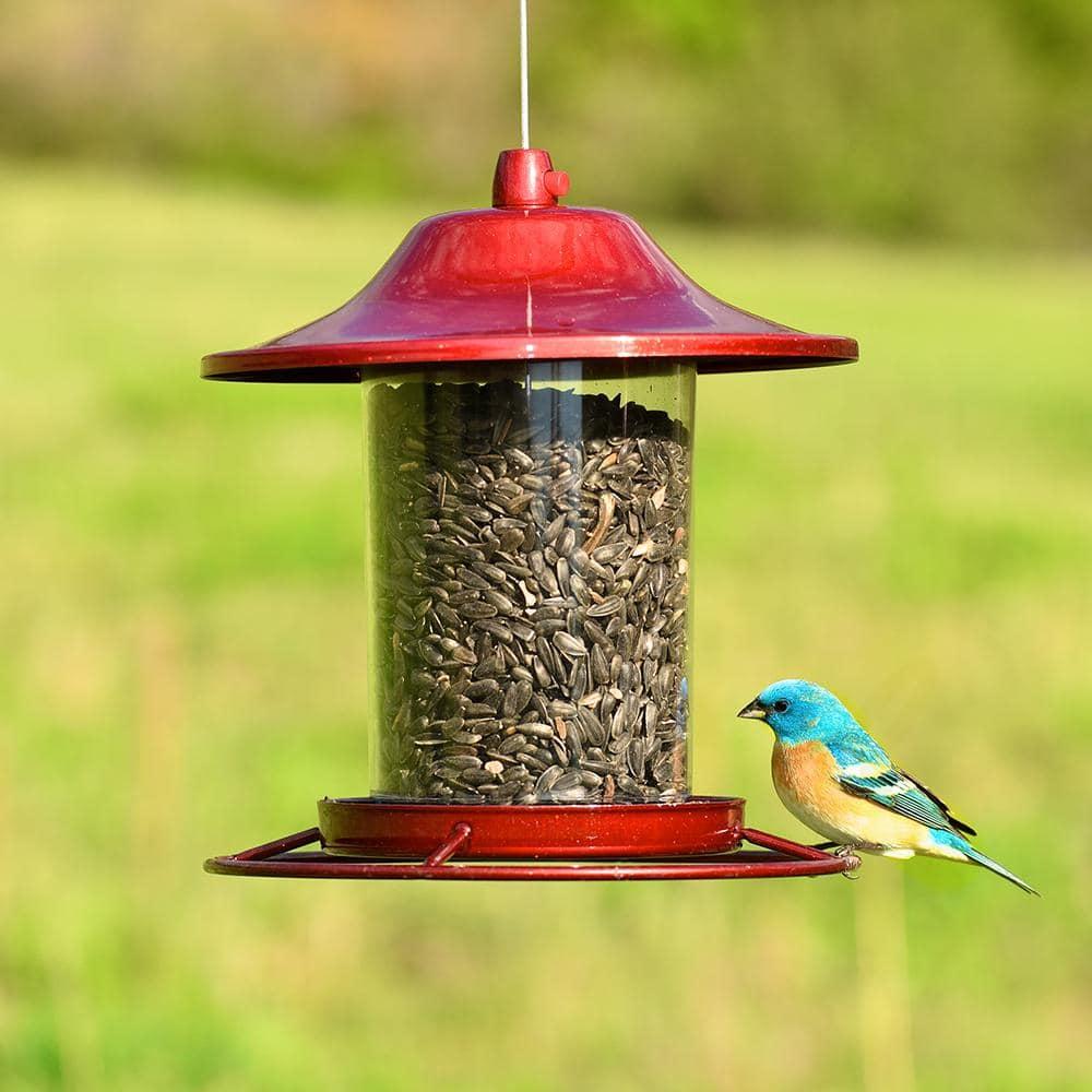 Perky-Pet Wild Bird 2 lb Metal/Plastic Panorama Bird Feeder 1 ports Model No 312R (Case of 2)