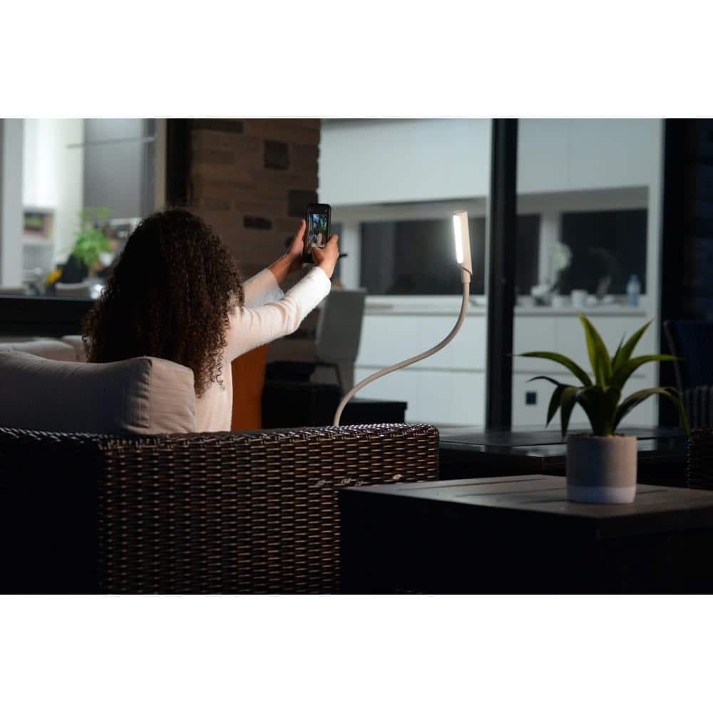 Reliable Corporation Reliable UberLight Flex 3100TL Led Task Light, Clamp, White