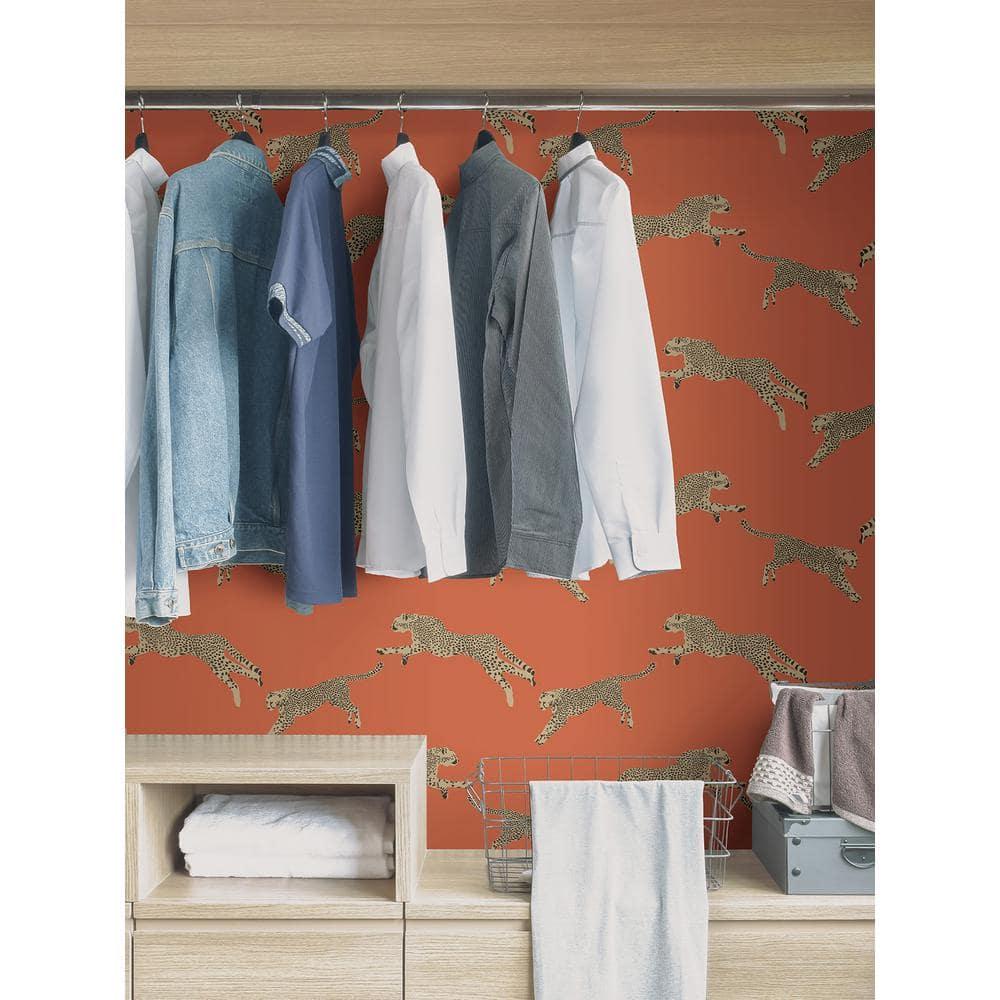 Scalamandre 30.75-sq ft Clementine Vinyl Novelty Self-adhesive Peel and Stick Wallpaper