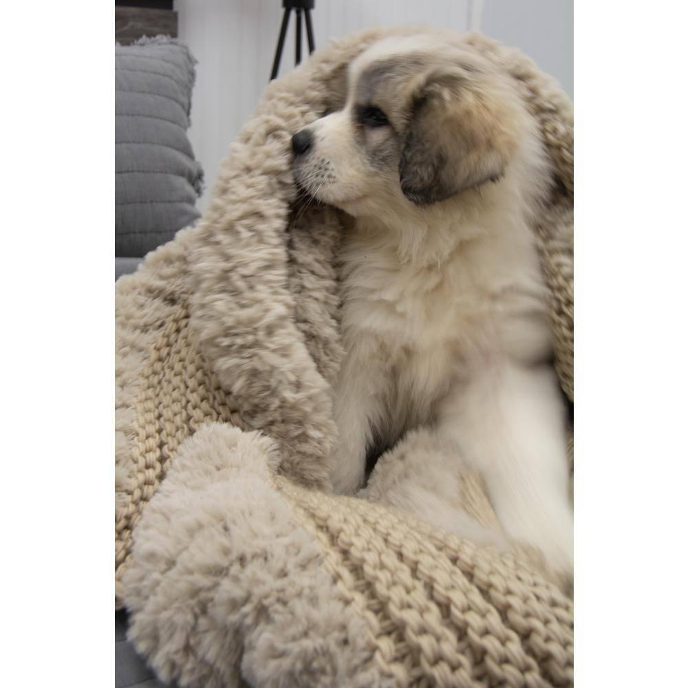 Donna Sharp Plush Knit Throw Taupe