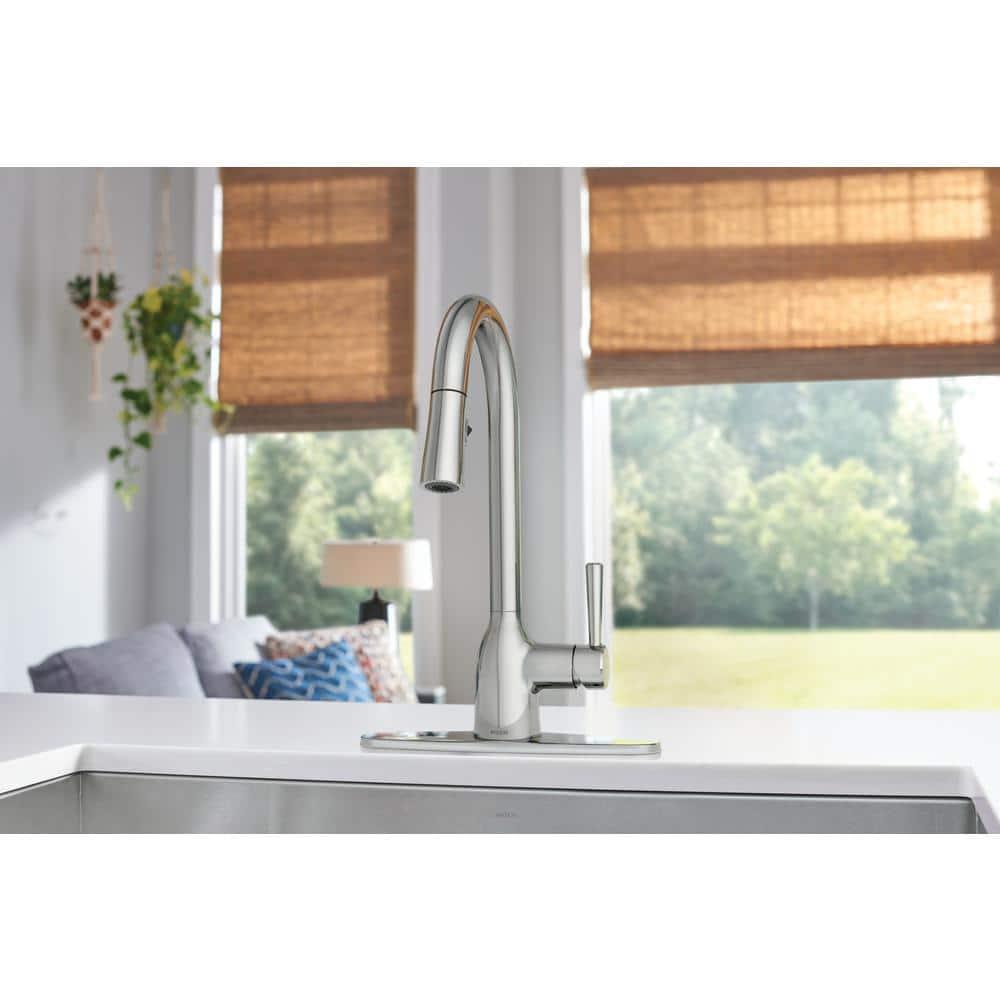 Adler Pull Down Single Handle Kitchen Faucet with Accessories