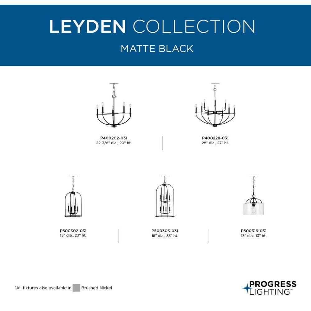 Progress Lighting, Leyden Collection, 1-Light Pendant, Matte Black, Clear Glass Shade