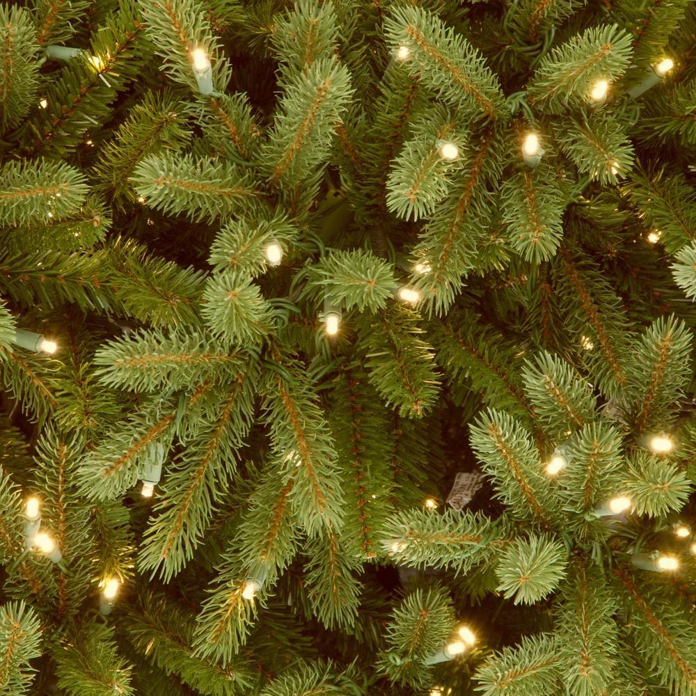 6.5' Prelit LED Medium Jersey Fraser Fir Artificial Christmas Tree Dual Color Lights - National Tree Company