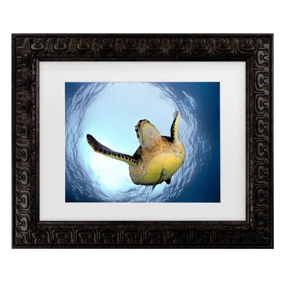 Trademark Fine Art - Henry Jager Green Turtle In Snells Window Matted Framed Art - 11x14