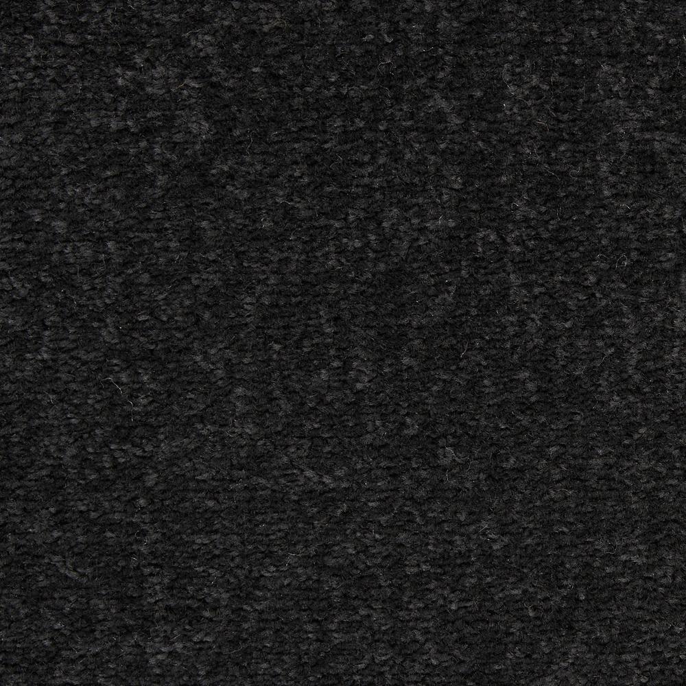 Nourison Essentials Easy Care Indoor Outdoor Area Rug - Black 8' x 11'