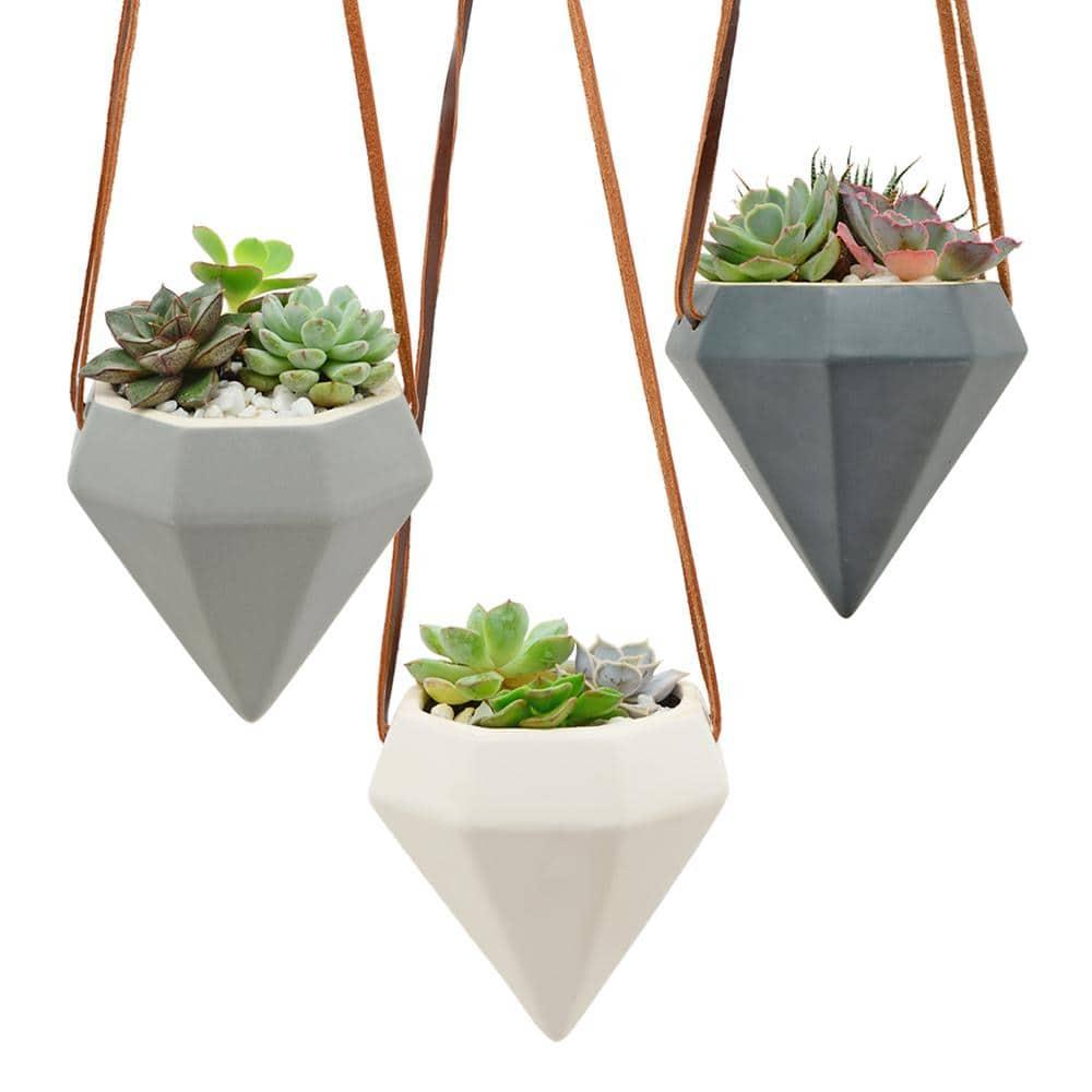 Guilford Ceramic Hanging Planter